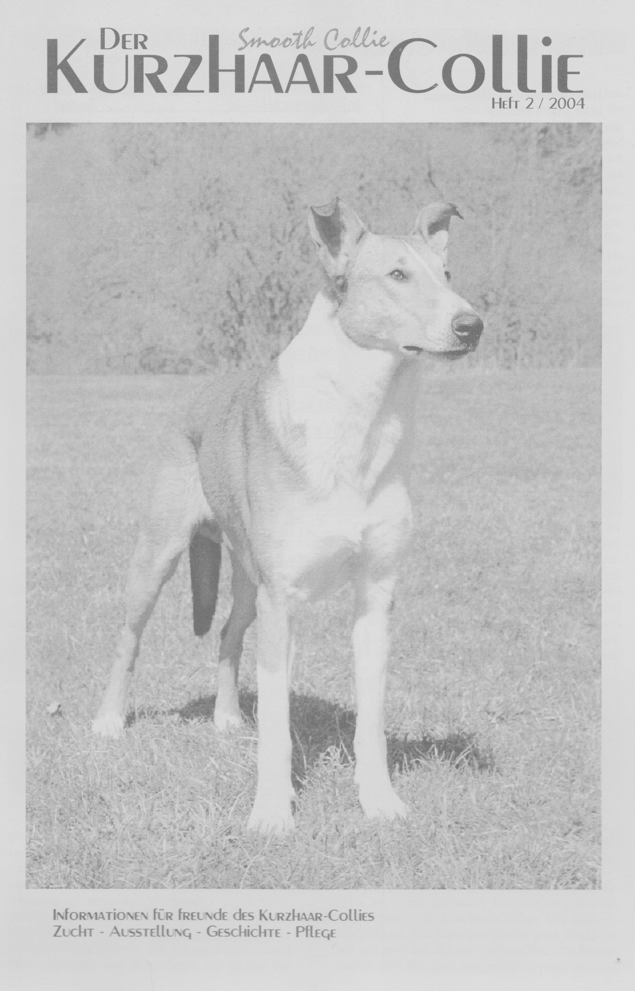 heidi.findeis@web.de