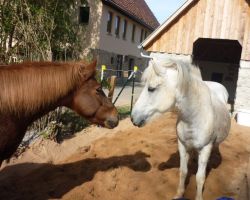 heidi.findeis@web.de