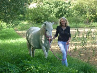 heidi.findeis